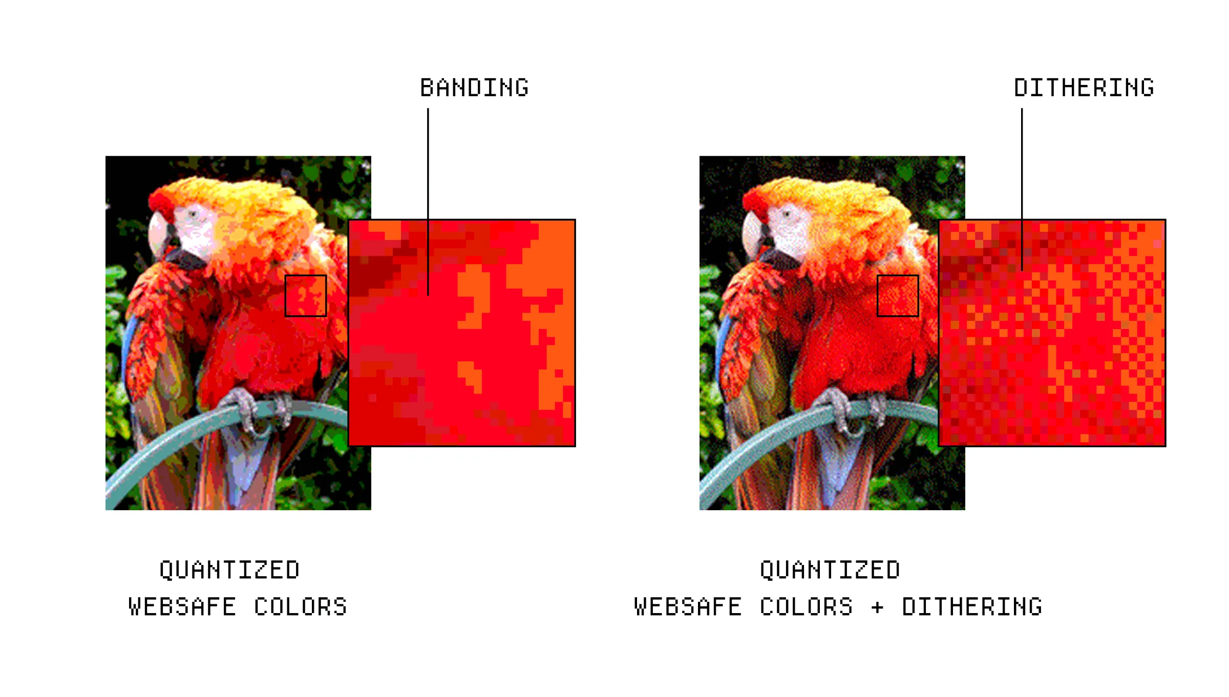 01.png