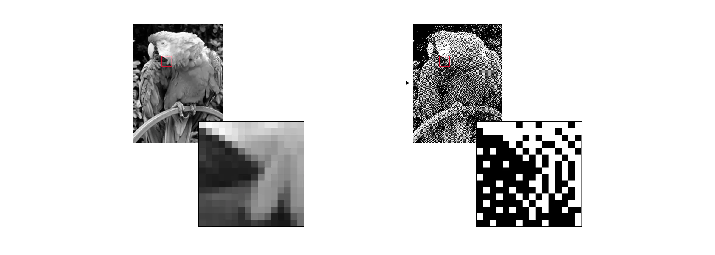 05.png